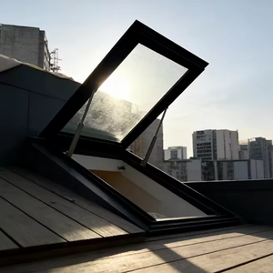 roof window